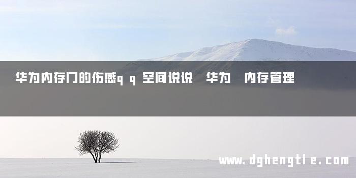 华为内存门的伤感qq空间说说 华为 内存管理
